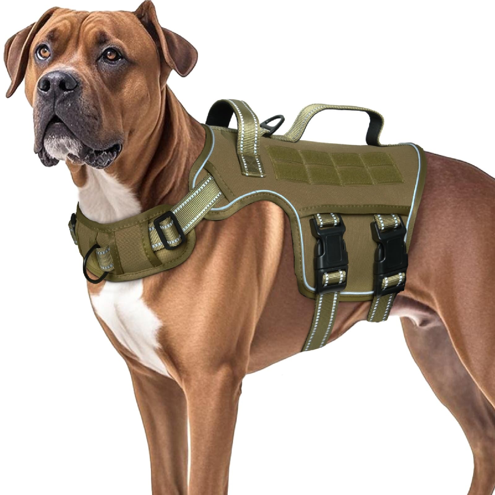 RunFido adjustable straps ensure a snug fit across neck, chest, and belly
