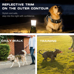RunFido breathable padded harness keeps your dog comfortable on long adventures