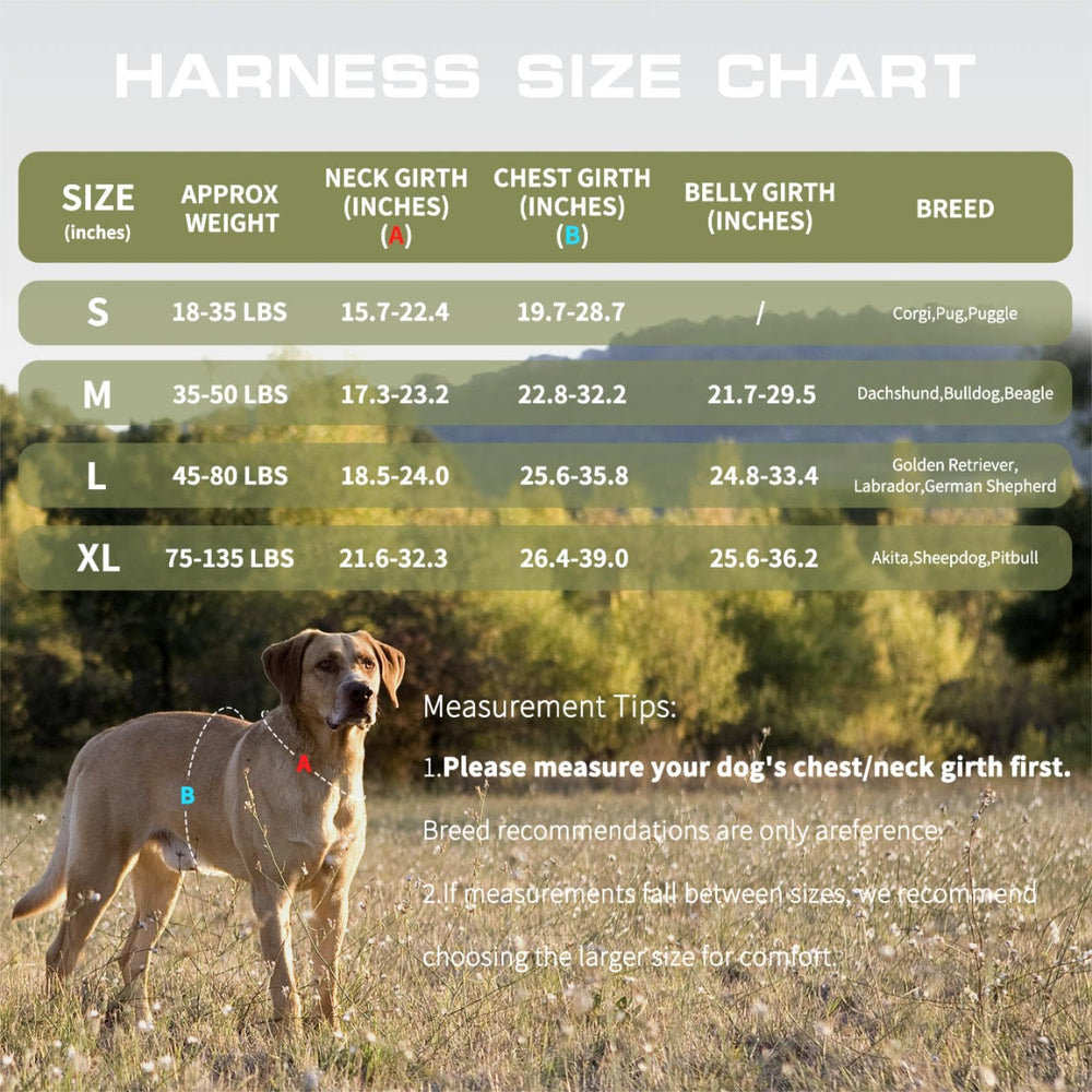 RunFido adjustable-strap-fit ensures a secure, tailored fit.