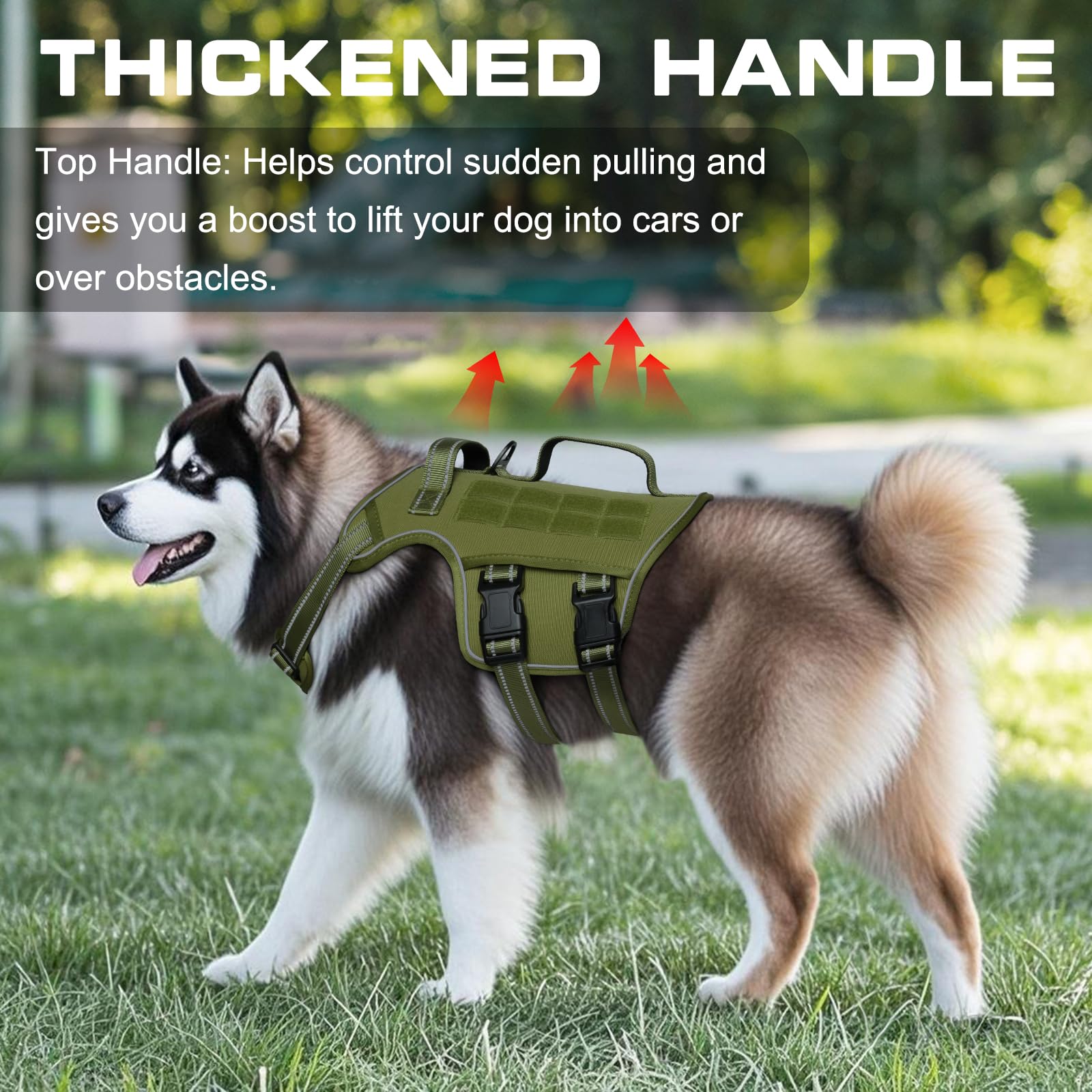 RunFido dog harness back view highlights Molle-system-ready attachment points.