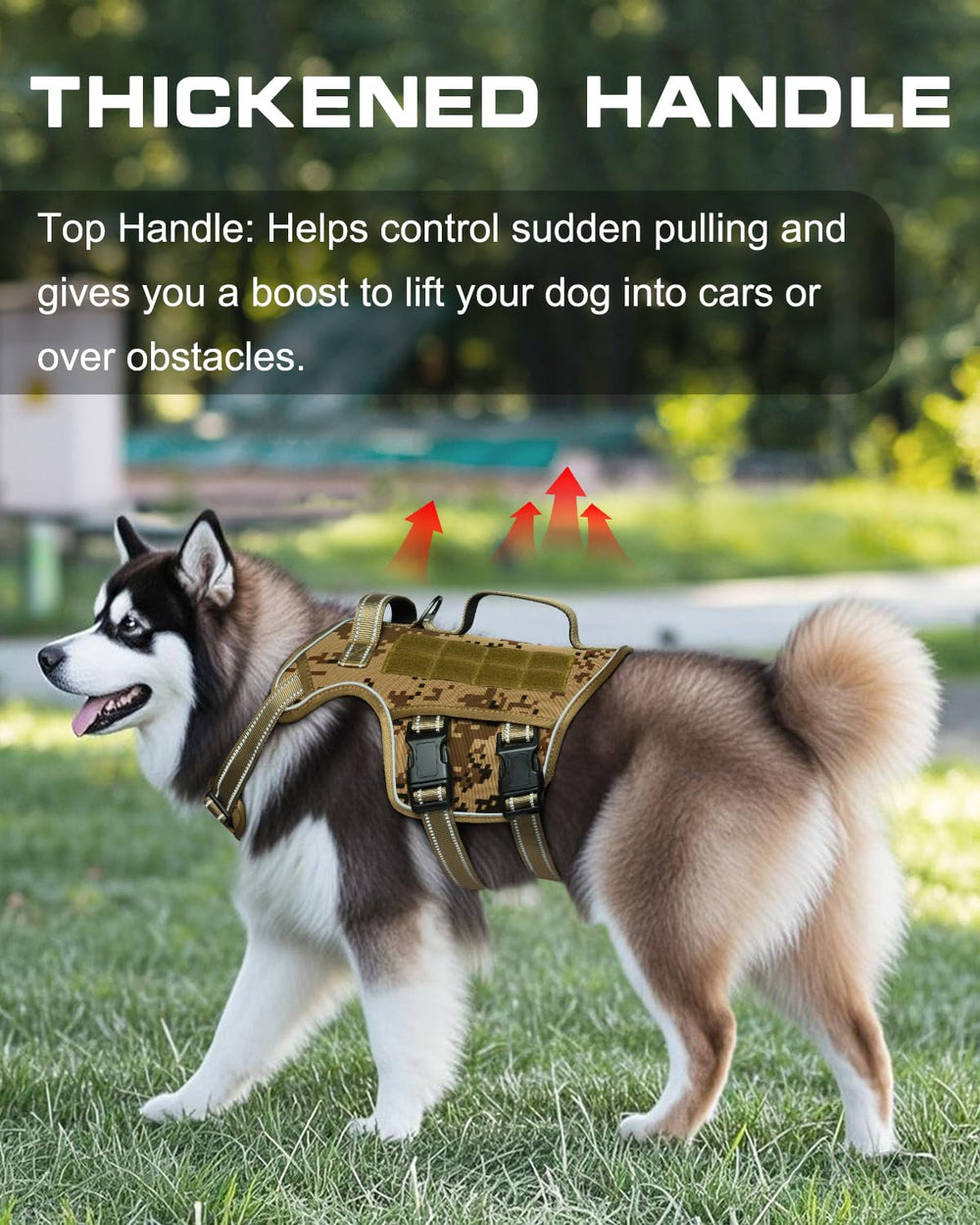 RunFido harness back view highlighting padded fit and even weight distribution for comfort.