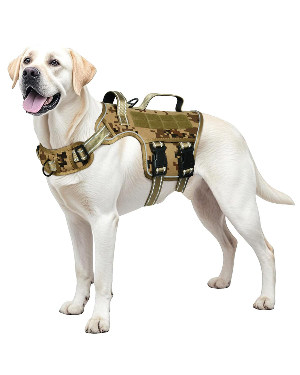 RunFido harness front view with quick-release design for easy outfitting during walks.