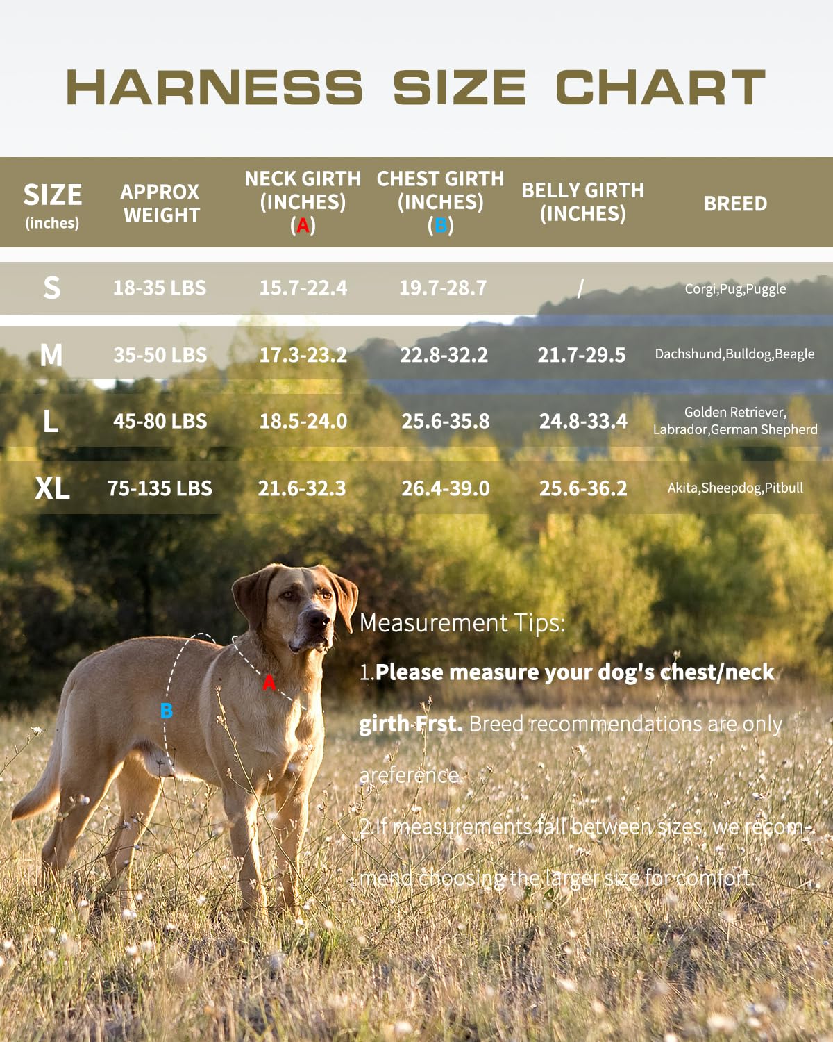 RunFido harness quick-release buckles image highlights fast on/off for busy households.