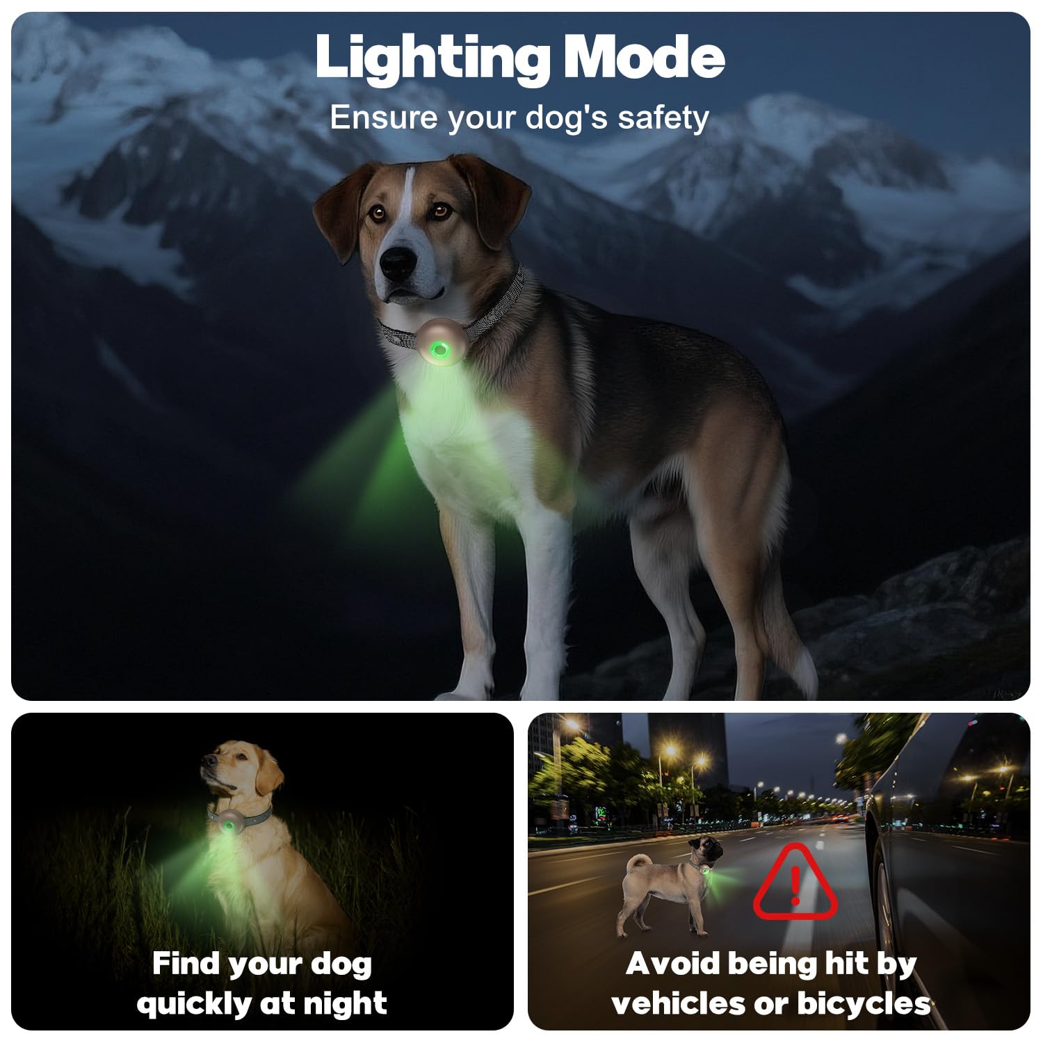 RUNLANE dog collar remote display shows quick training settings