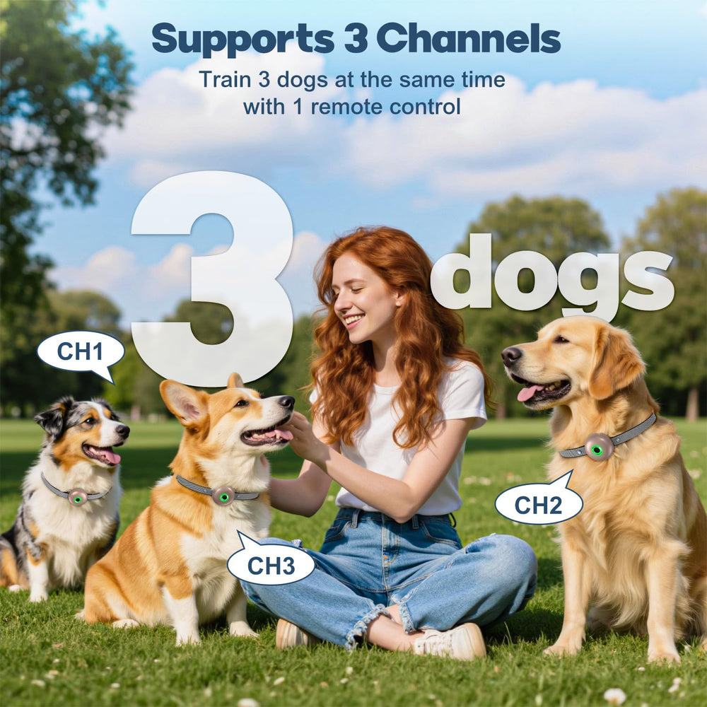 RUNLANE remote multi-dog training enables training multiple dogs