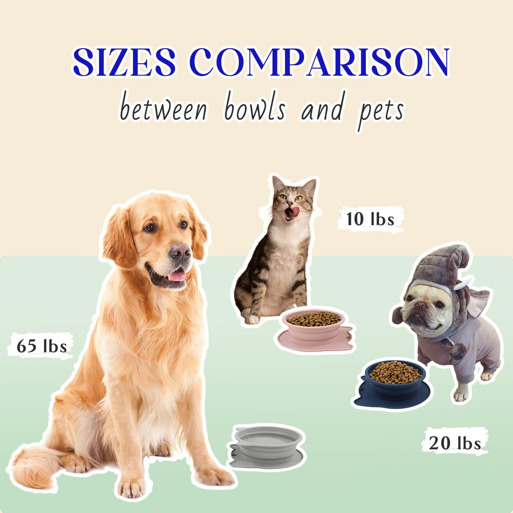 RUNROLE collapsible bowls with stable reinforced rim for mess-free feeding.