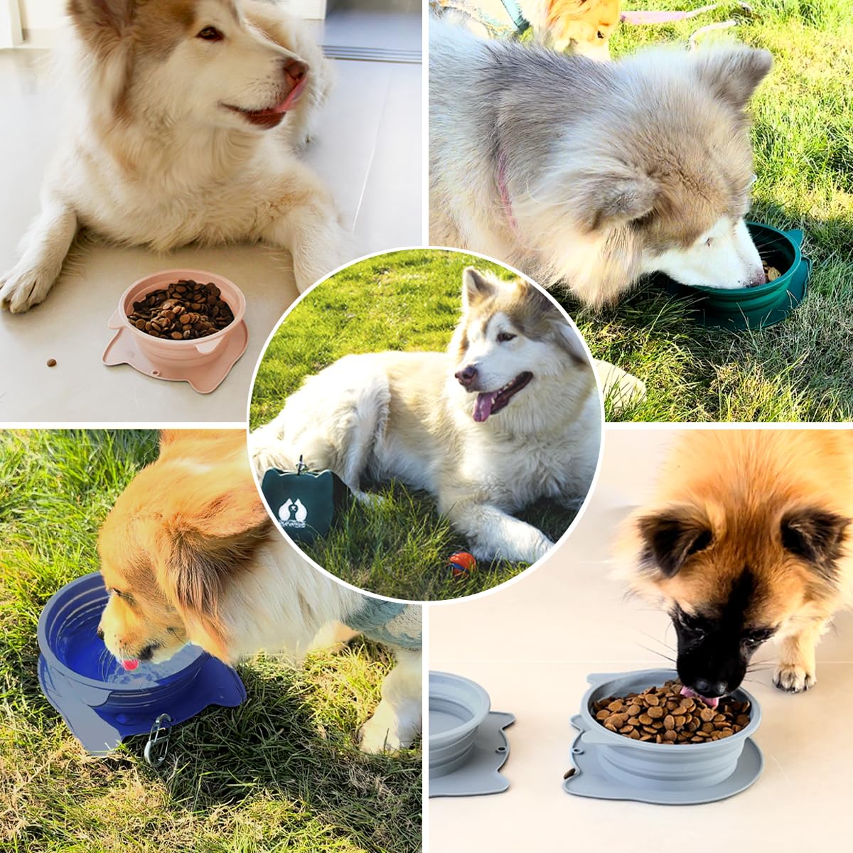 RUNROLE forest-green travel bowls designed for Pets on the move.