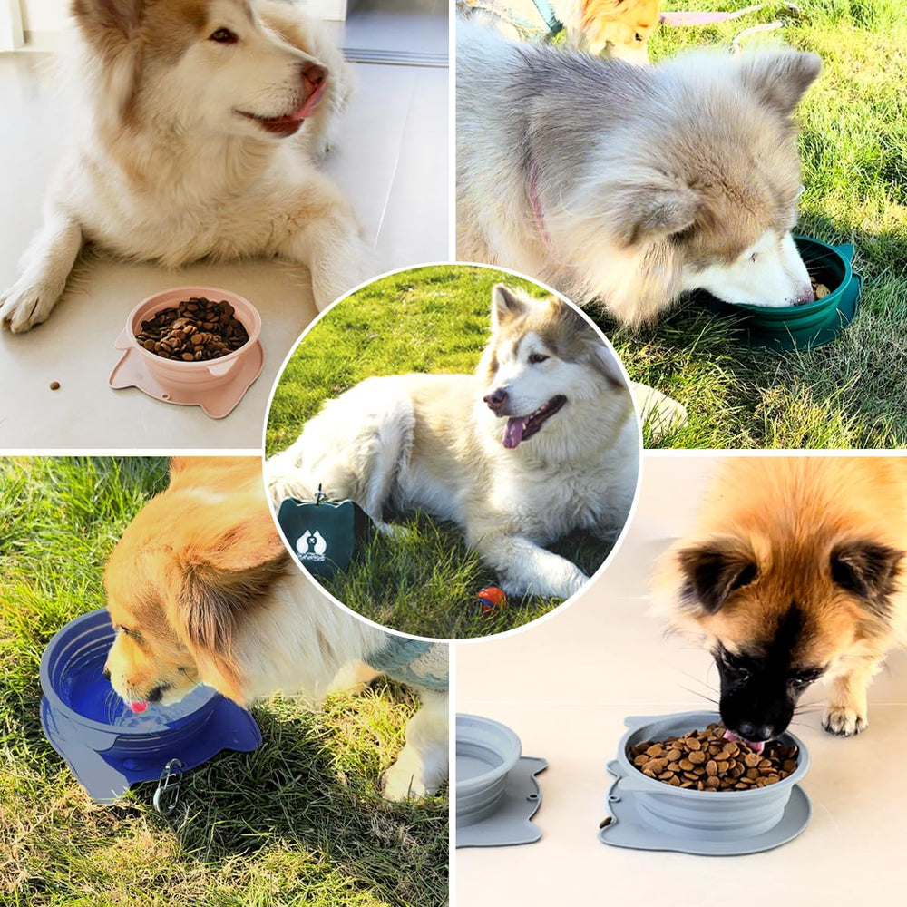 RUNROLE forest-green travel bowls designed for Pets on the move.
