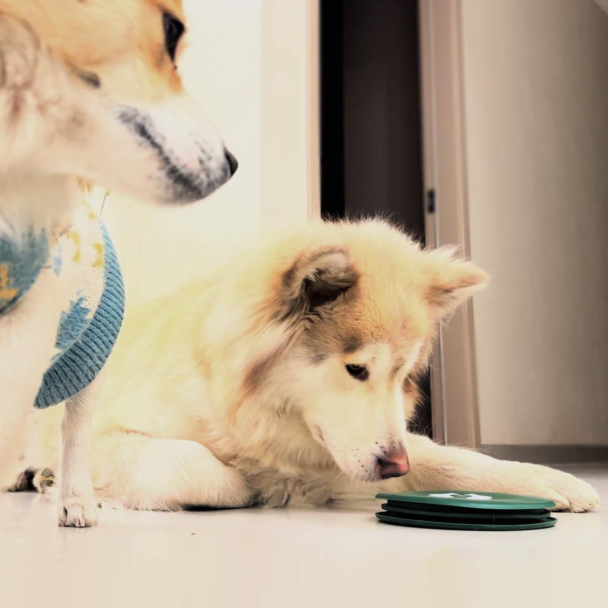 RUNROLE portable pet bowls ideal for trips, parks, and daily walks.