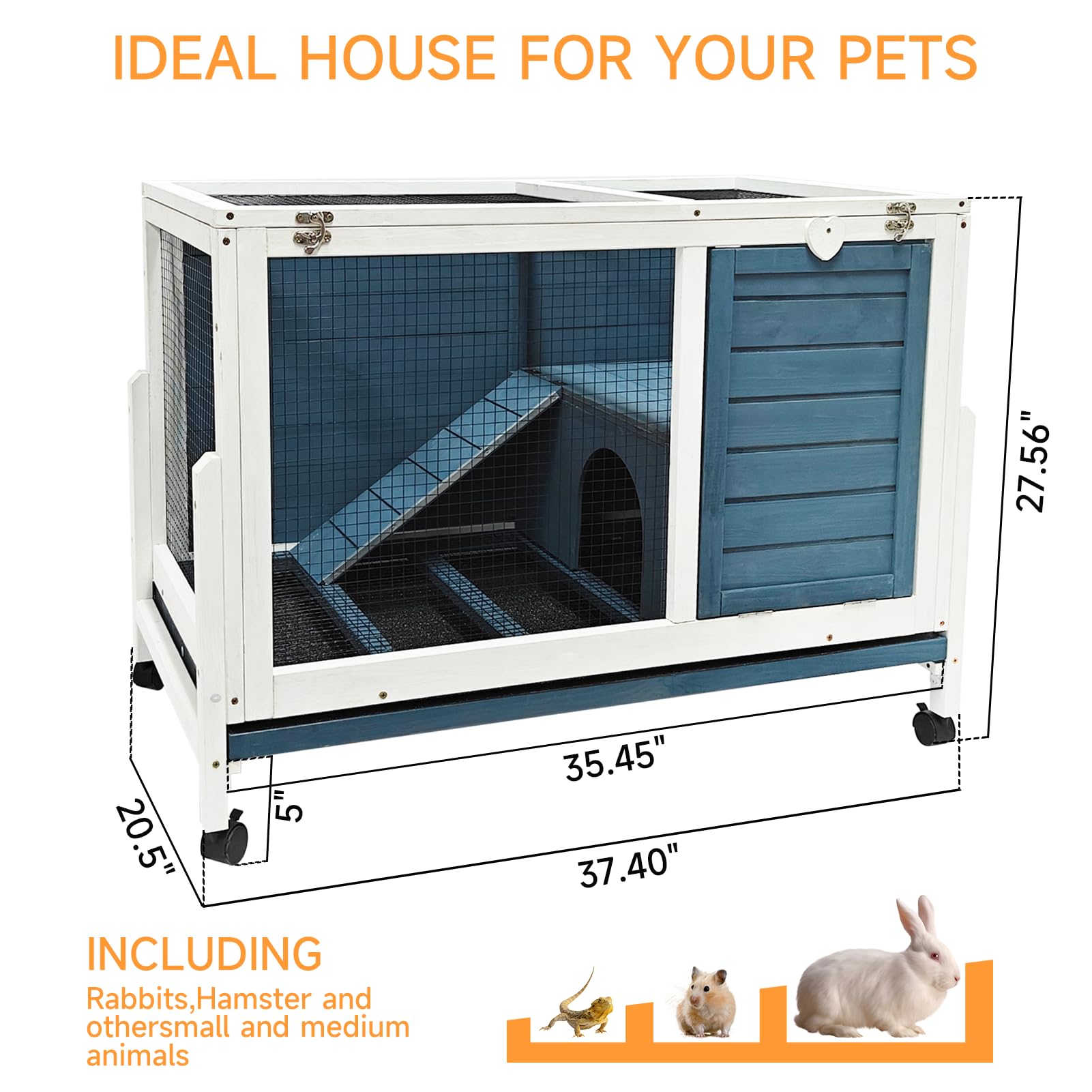 RUNSHED interior space shows room for 1 rabbit or 2 dwarfs