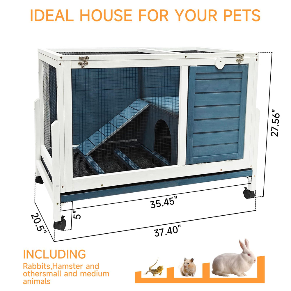 RUNSHED interior space shows room for 1 rabbit or 2 dwarfs
