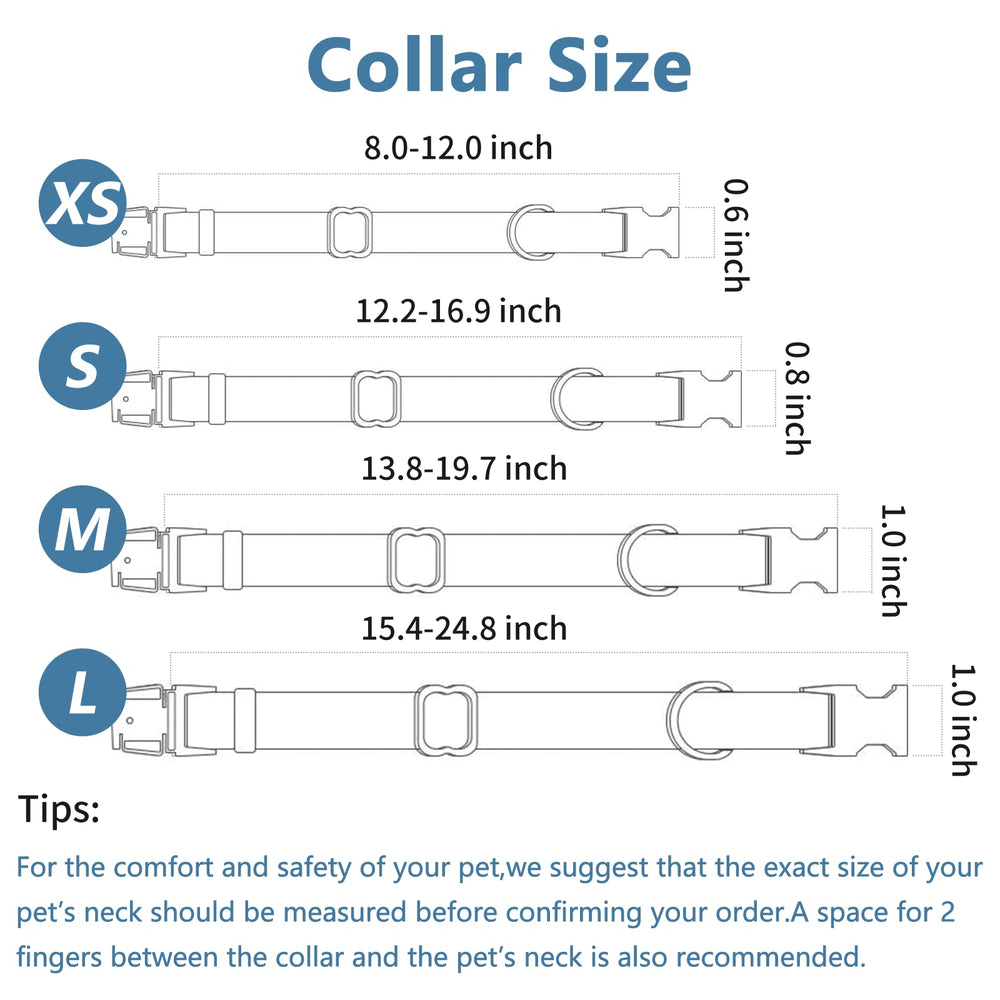 Three adjustable D-rings on Runwing leash enable versatile walking styles.