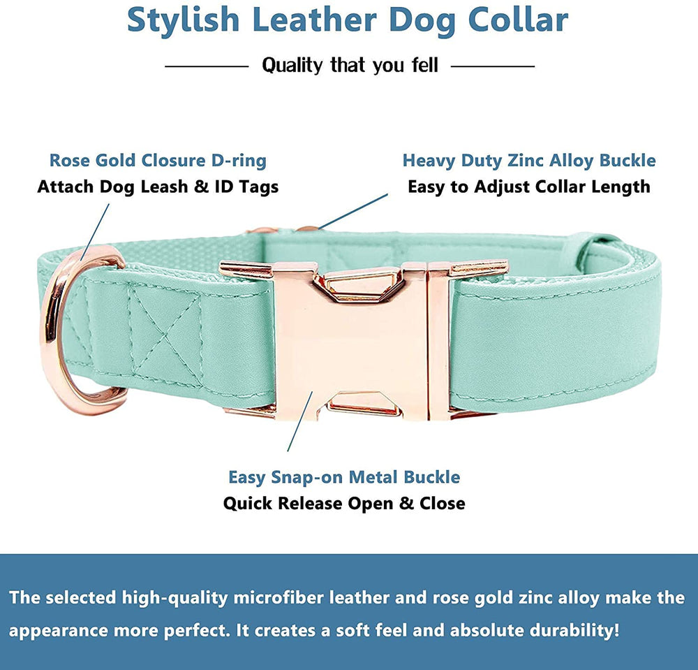 Runwing rose gold buckle collar with D-ring for secure leash attachment