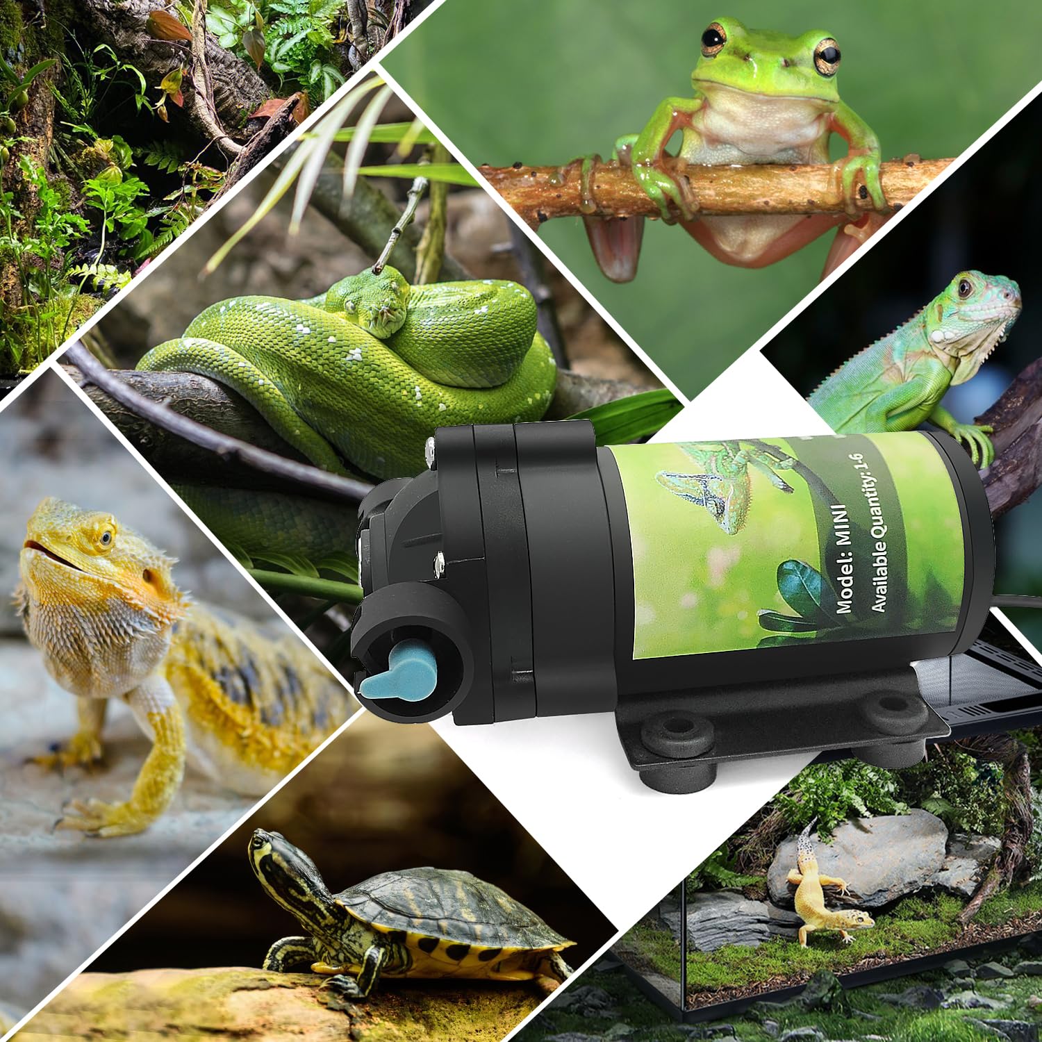 RUNWUSHENG reptile mister system demonstration shows in-use misting in a paludarium