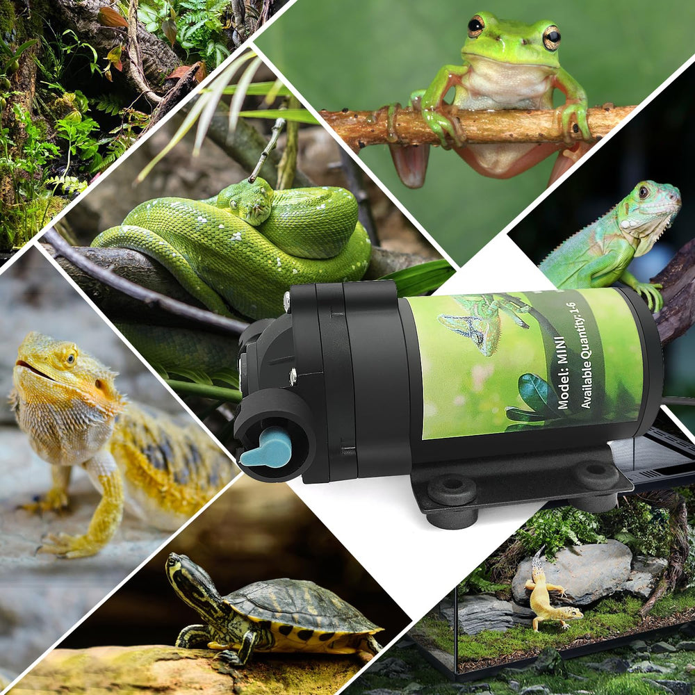 RUNWUSHENG reptile mister system demonstration shows in-use misting in a paludarium