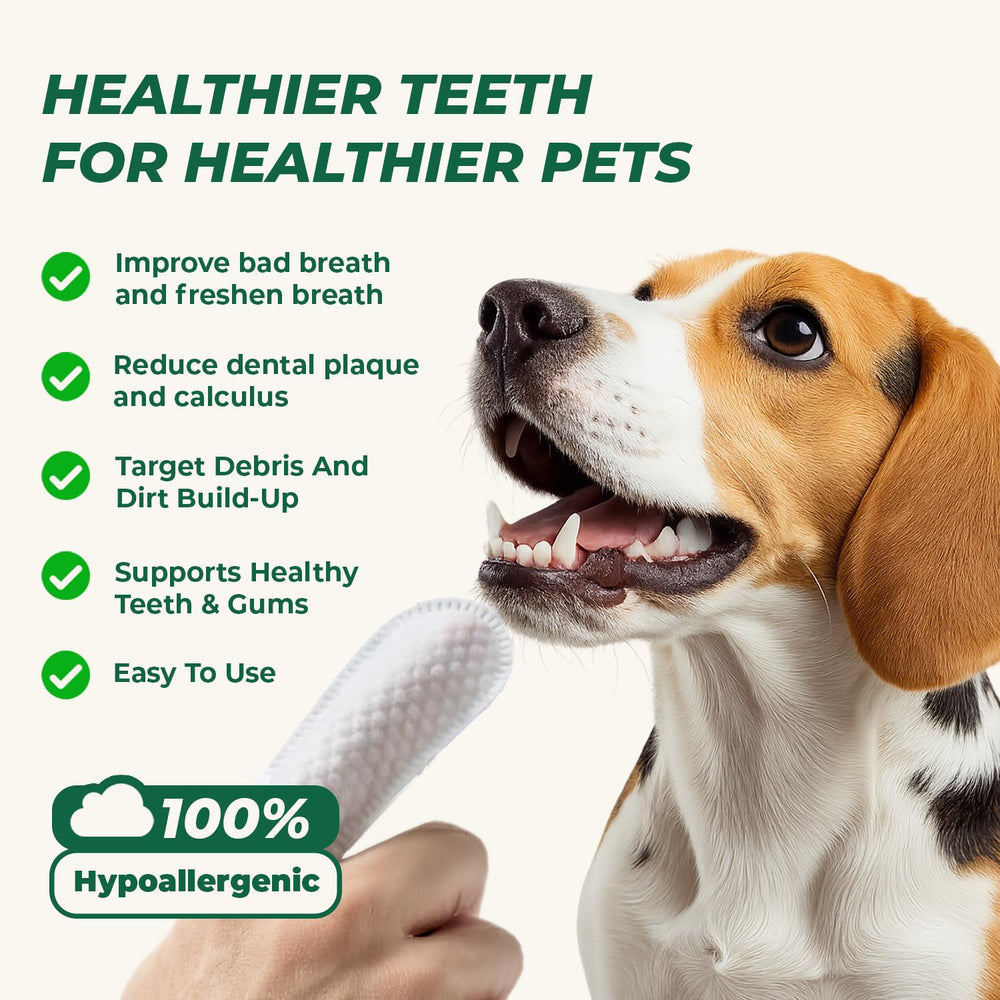 RunyePet finger wipes applied to a dog's teeth for quick cleaning.