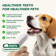 RunyePet finger wipes applied to a dog's teeth for quick cleaning.