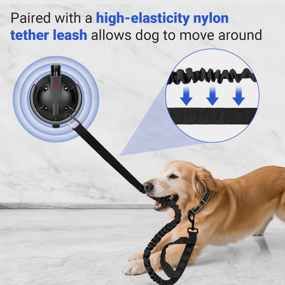 Ruppence dog bath suction cup on tile shows versatile setup.