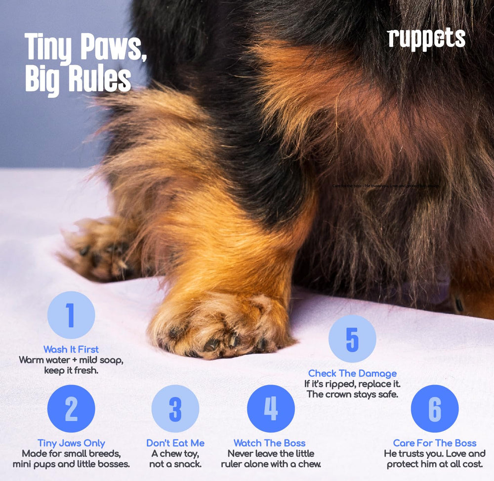 Ruppets teething puppy chew captures easy grab and chew action.