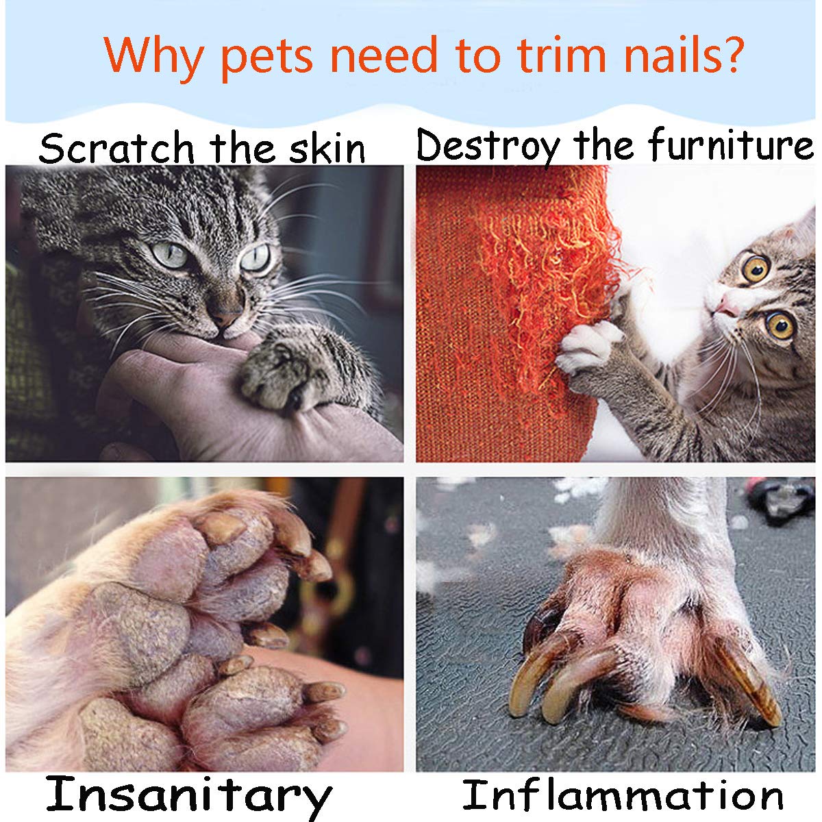 Ruri's dog nail grinder in-use image captures calm nail trimming.