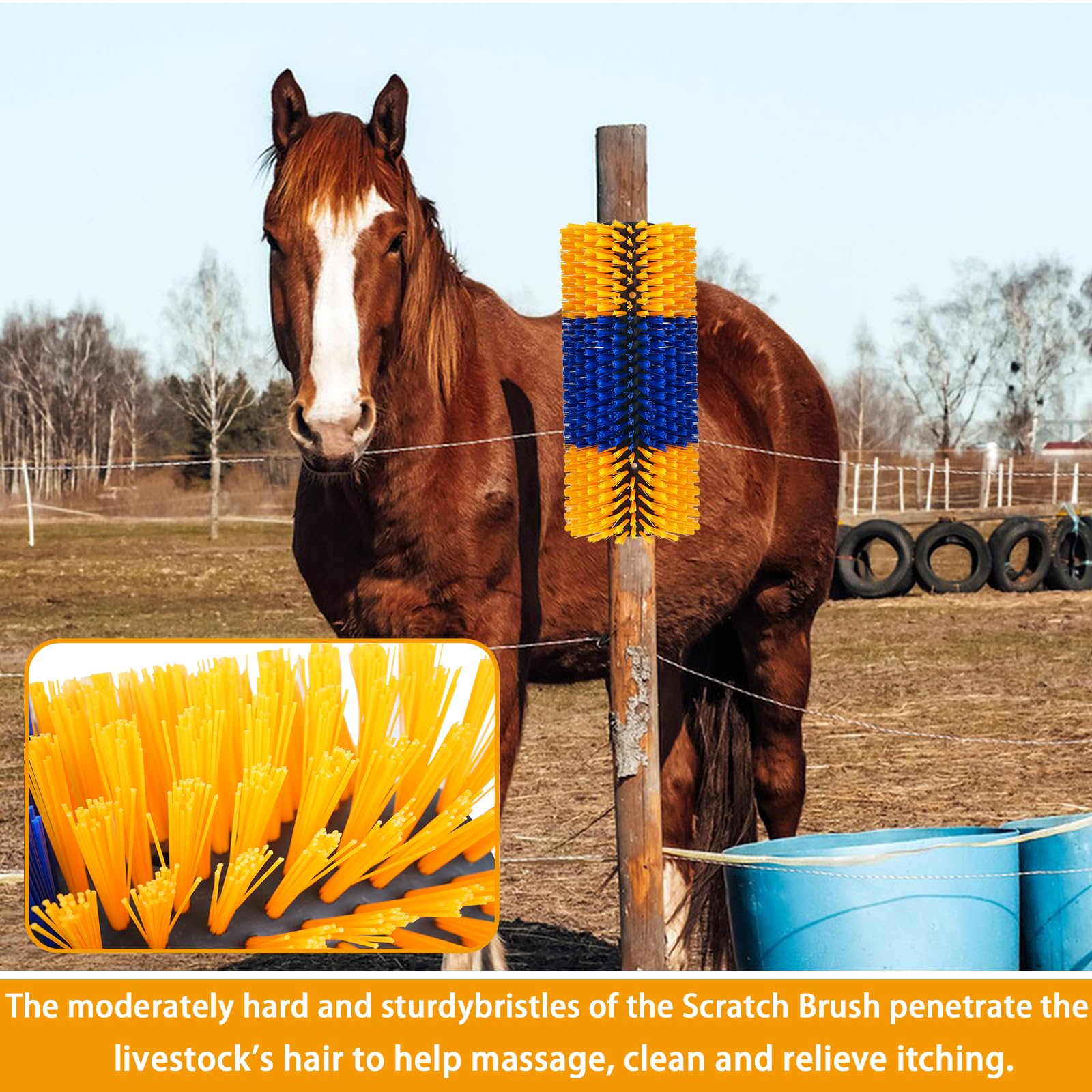 RUSIW livestock scratch brush two-pack in use for barn coverage.