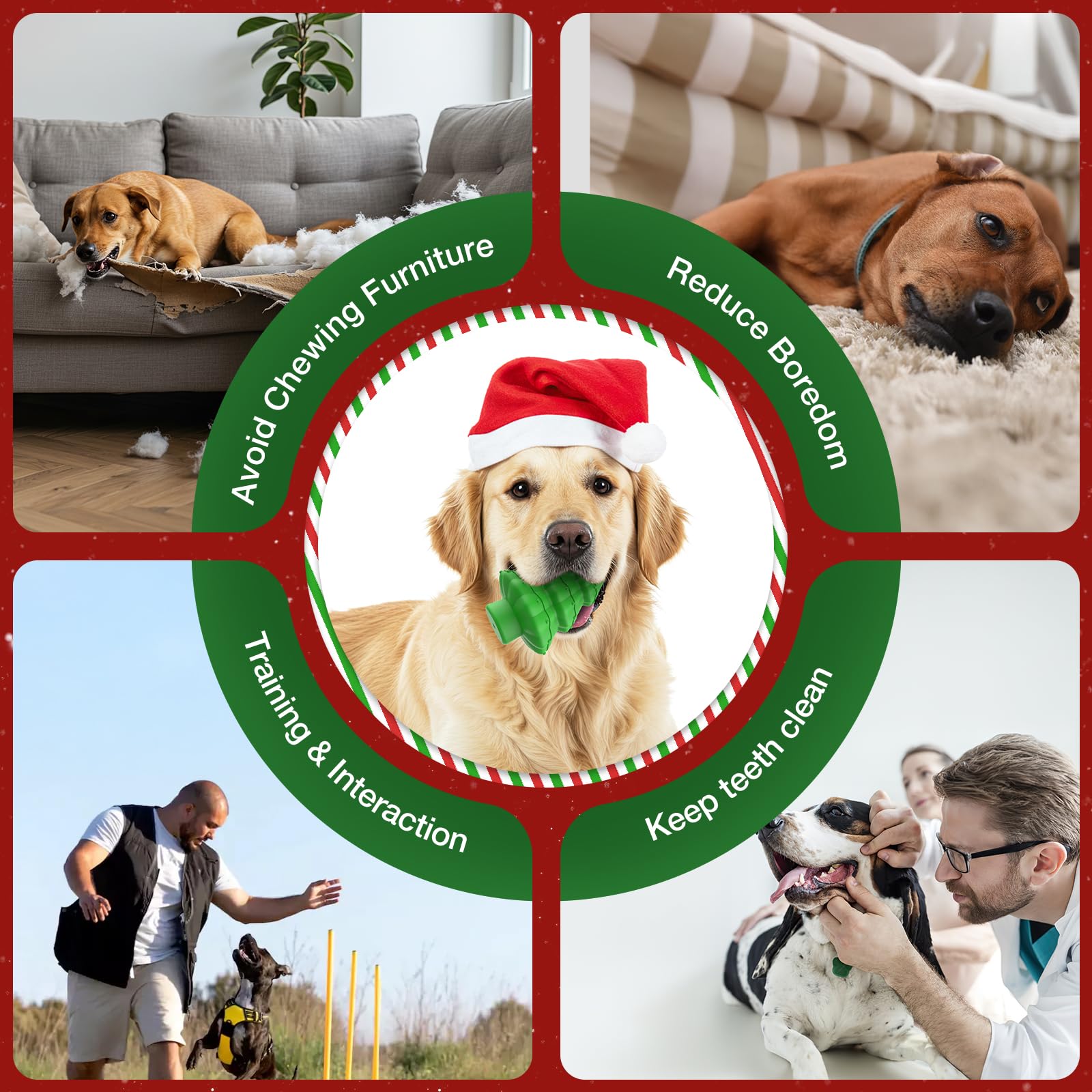 RUXAN Christmas-themed playtime promoting interactive fun.