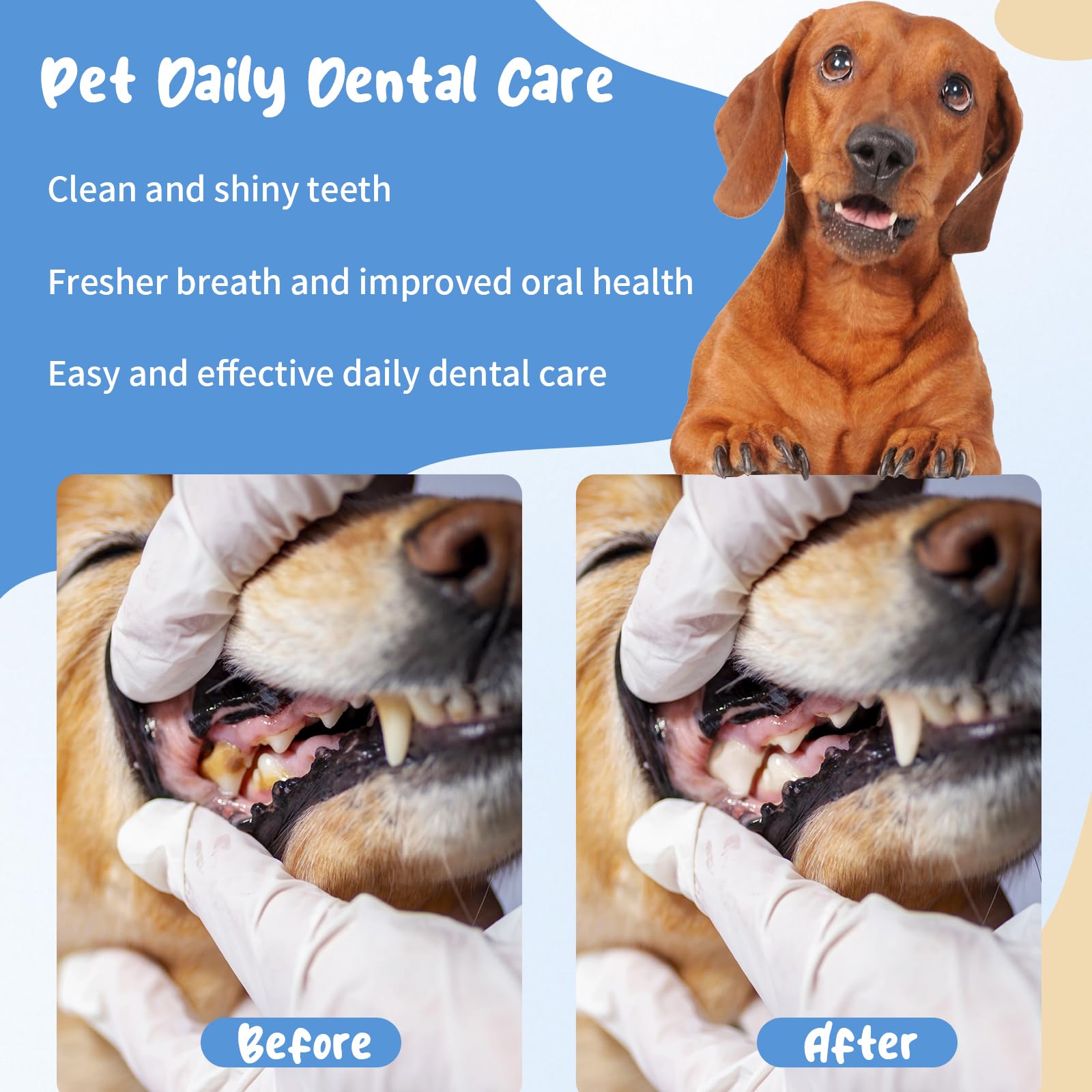 RWT breath freshening image with mint and lemongrass for fresher pet breath