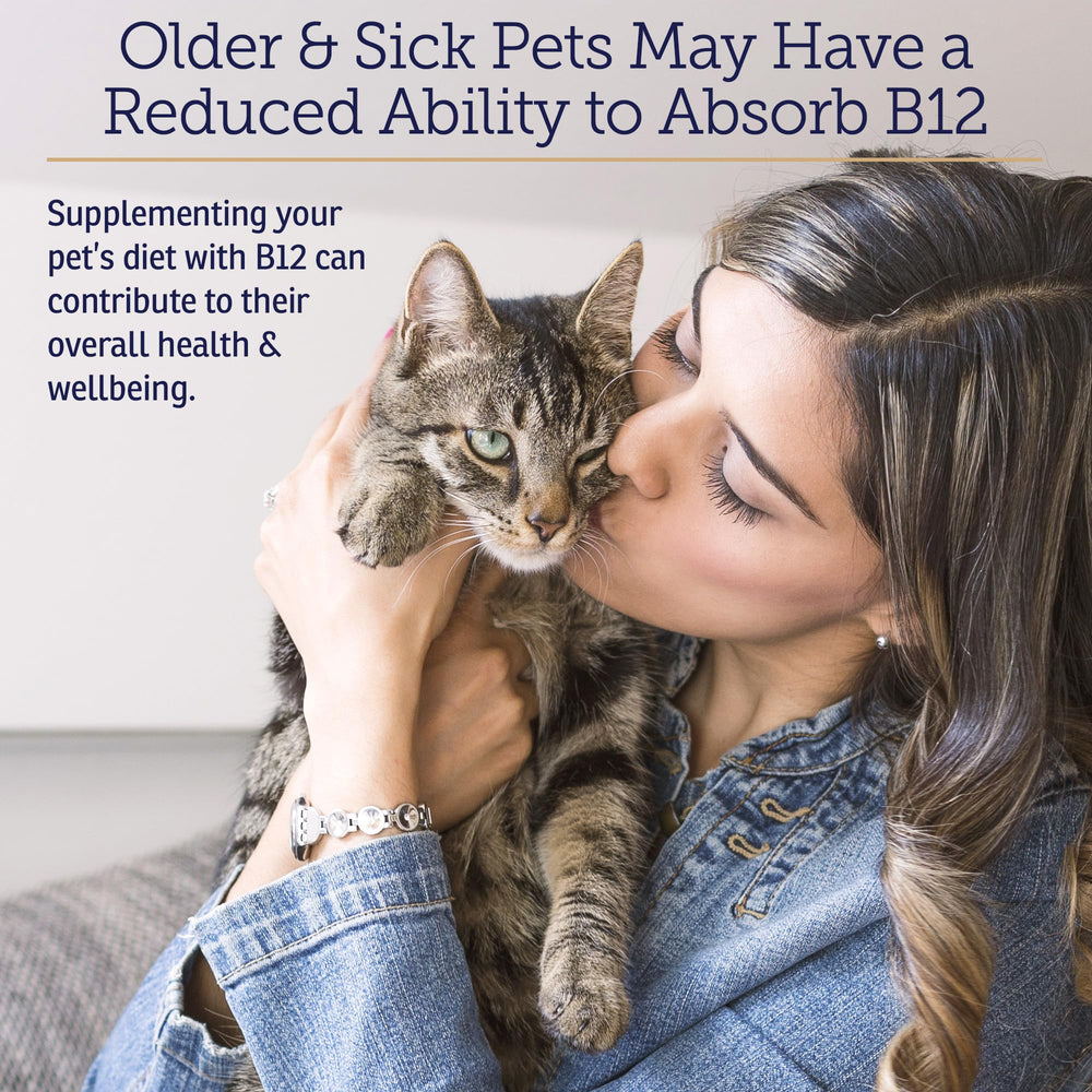 Rx Vitamins B12 cat food mix demonstrates easy supplementation for digestion.