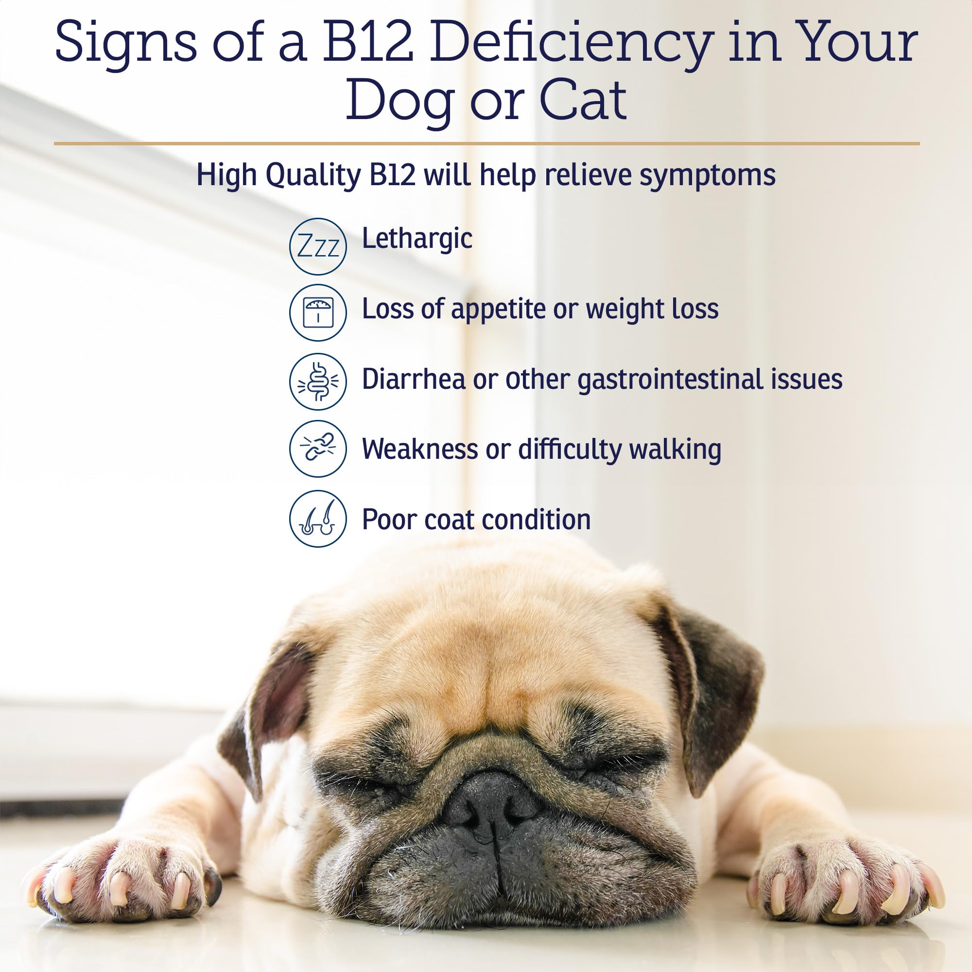 Rx Vitamins B12 liquid drops being poured for quick dosing.