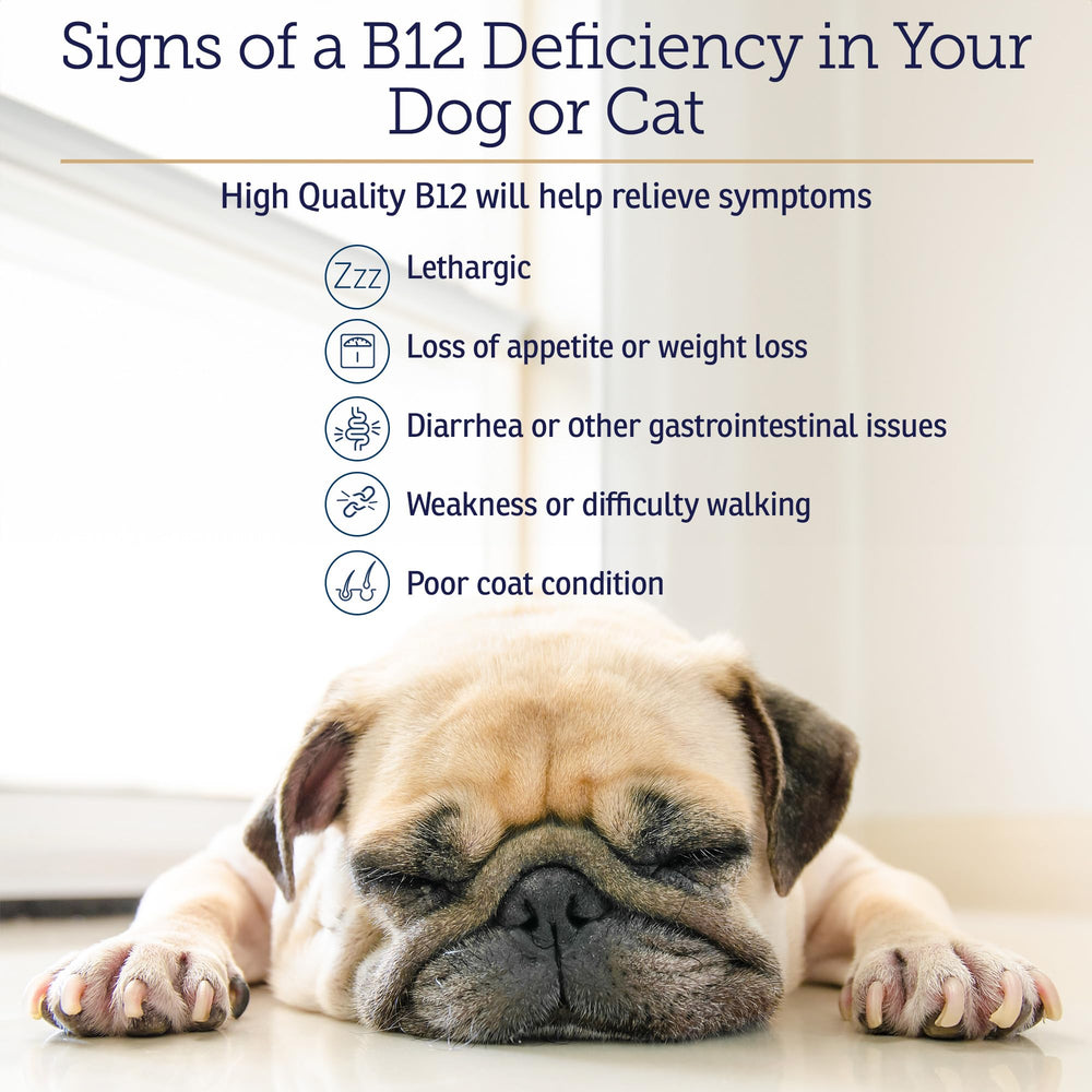 Rx Vitamins B12 liquid drops being poured for quick dosing.