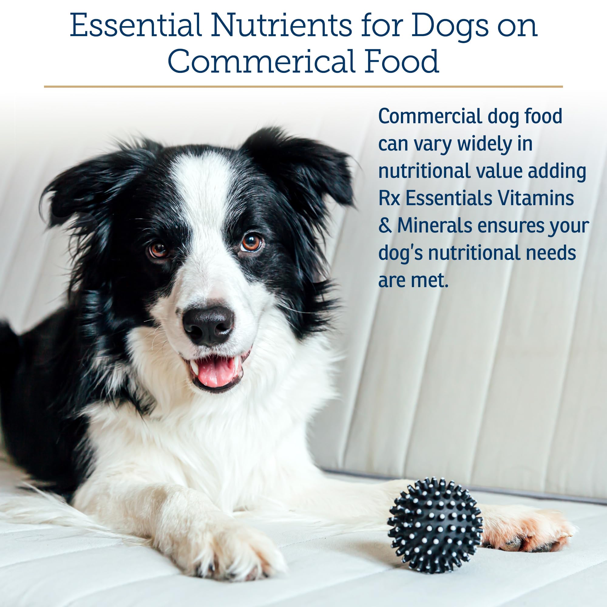 Blue spirulina powder in Rx Vitamins Essentials for Dogs adds antioxidant support.