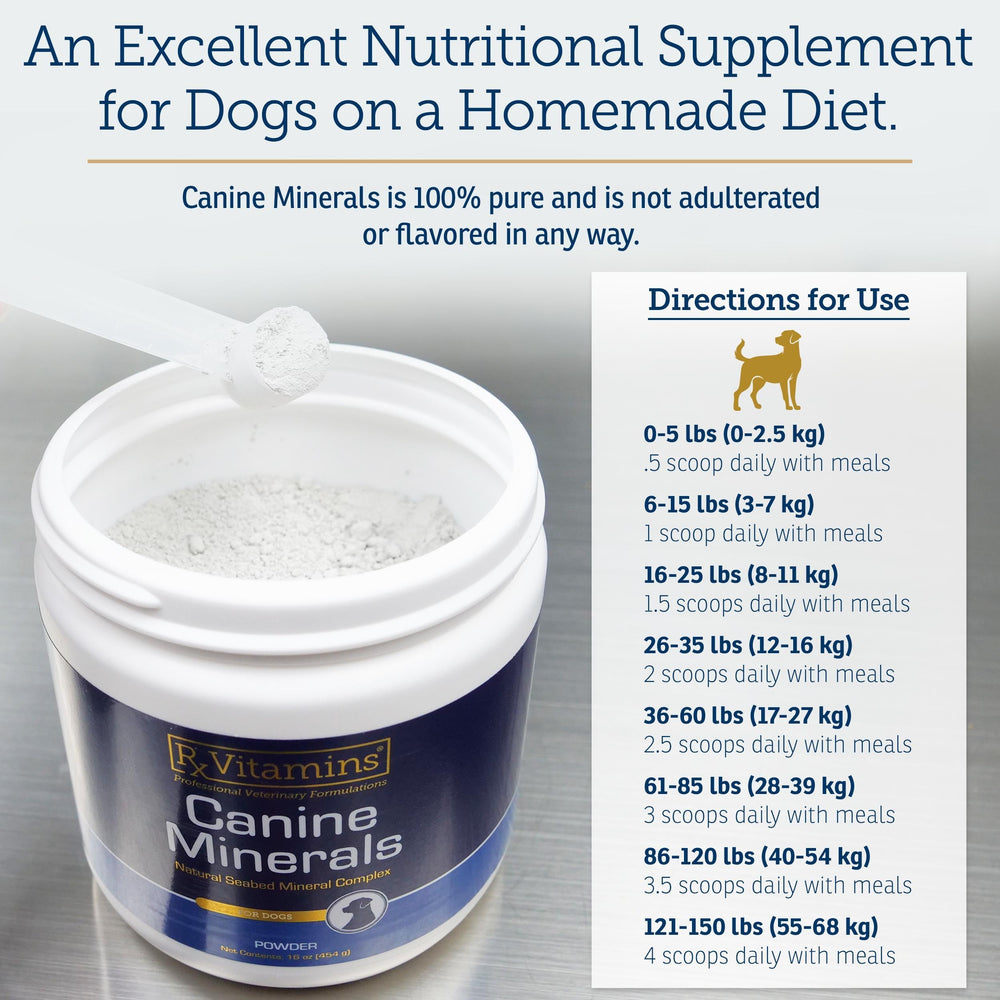 Rx Vitamins Canine Minerals ingredient label highlights calcium, magnesium, and iron blend.
