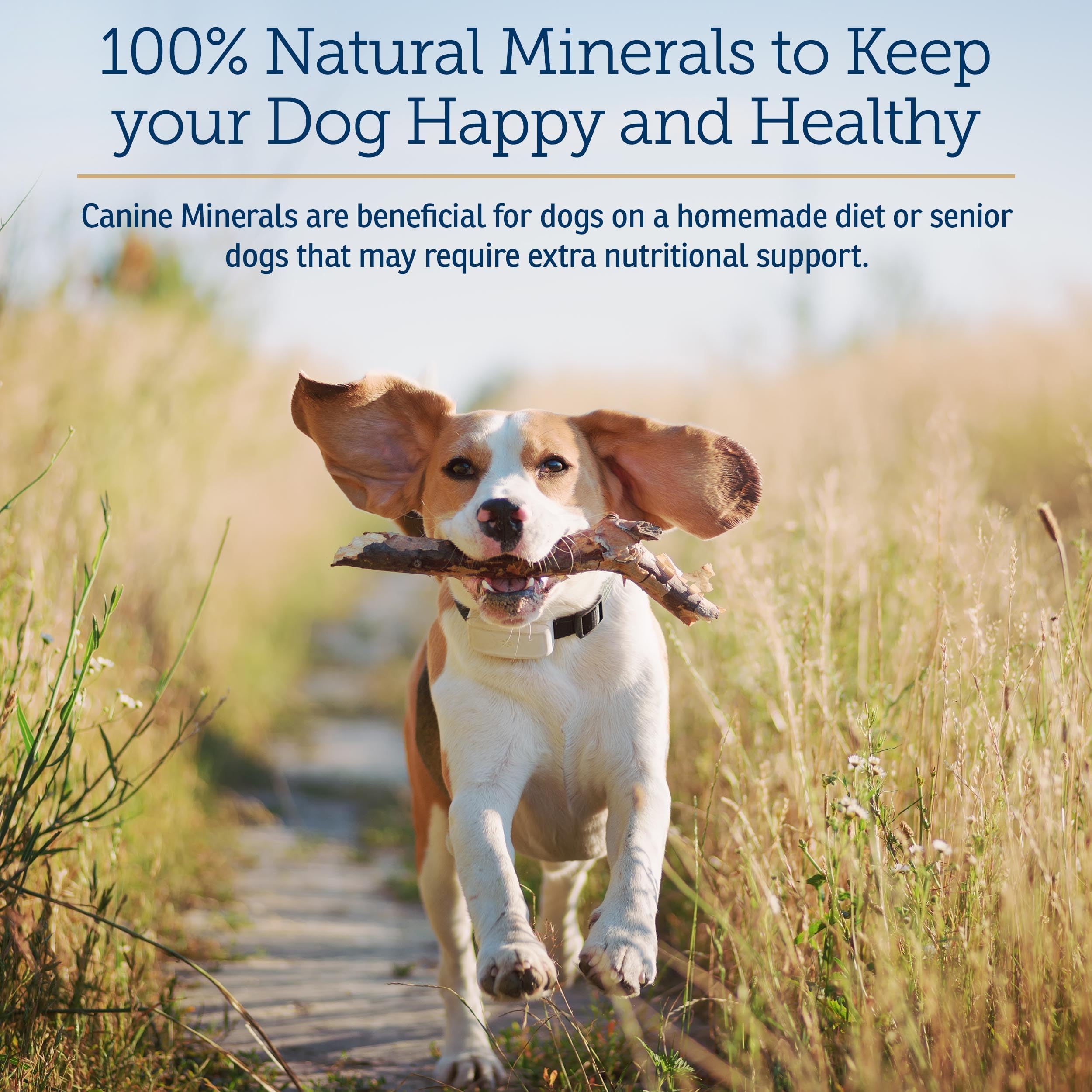 Rx Vitamins Canine Minerals measuring scoop ensures easy, consistent daily dosing.