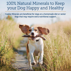 Rx Vitamins Canine Minerals measuring scoop ensures easy, consistent daily dosing.