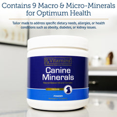 Rx Vitamins Canine Minerals being poured over food shows quick, convenient meal topping.