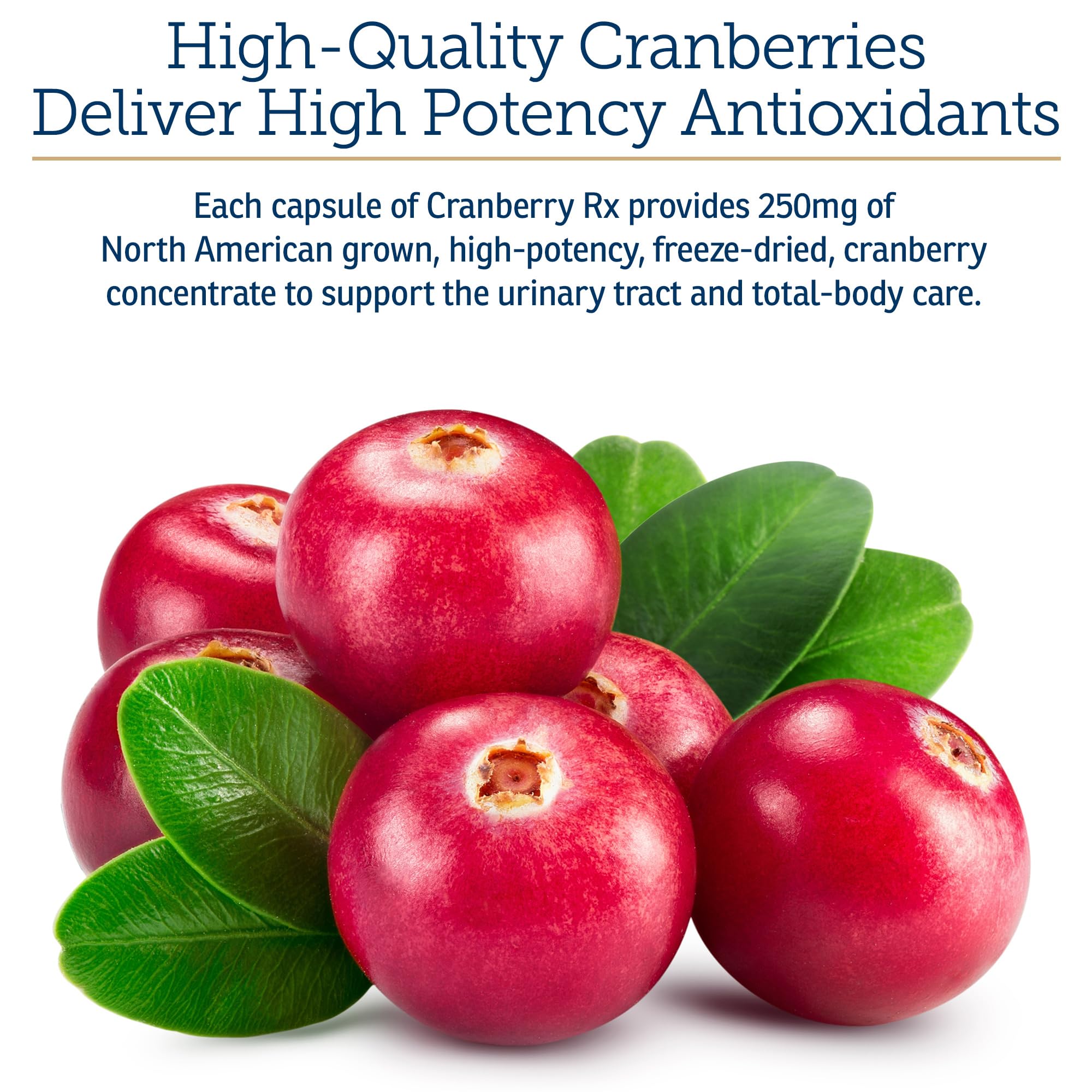 RX Vitamins Cranberry Capsules closeup showing capsules and natural ingredients