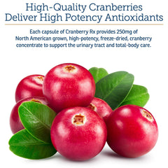 RX Vitamins Cranberry Capsules closeup showing capsules and natural ingredients