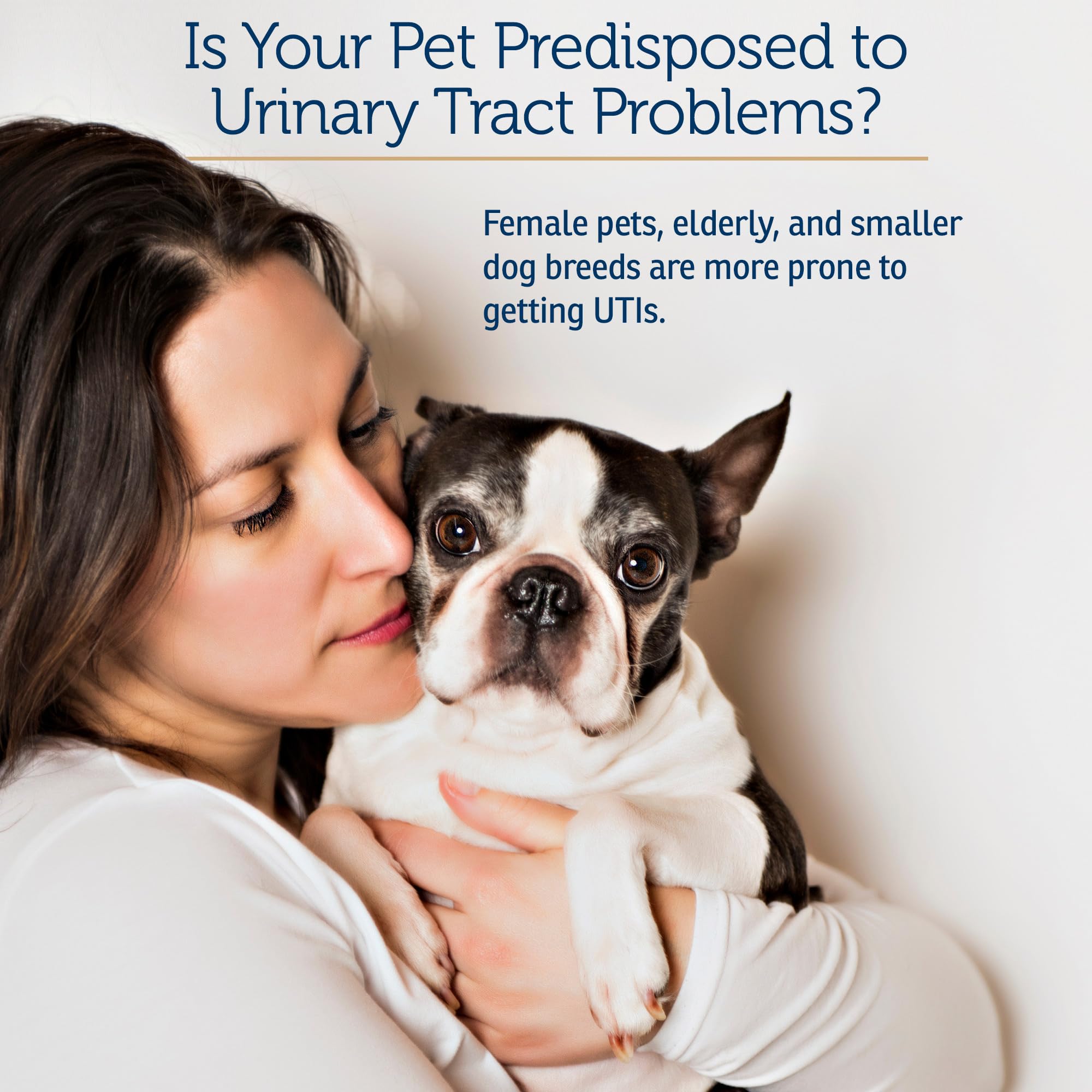 RX Vitamins Cranberry Capsules immune-support image underscores antioxidant benefits for pets