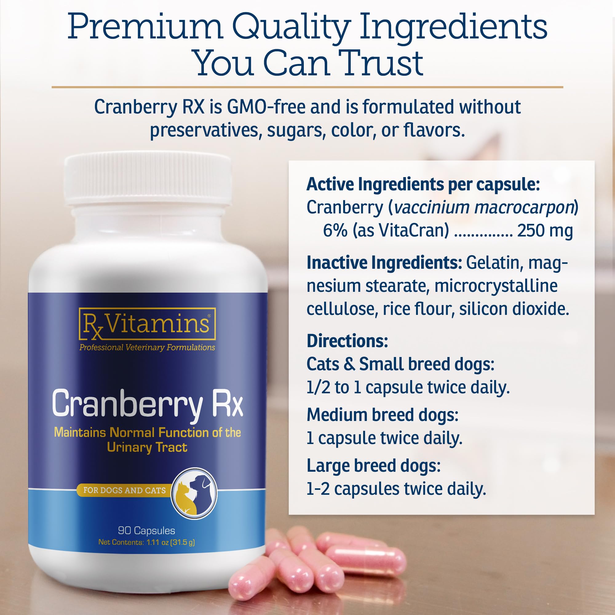 RX Vitamins Cranberry Capsules natural ingredients bottle highlighting preservative-free formula
