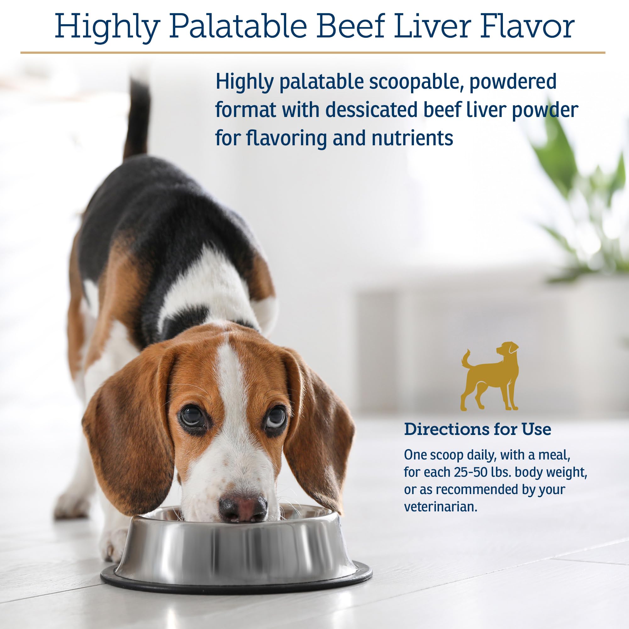 Kelp powder in Rx Vitamins Essentials for Dogs supports thyroid-friendly nutrition.