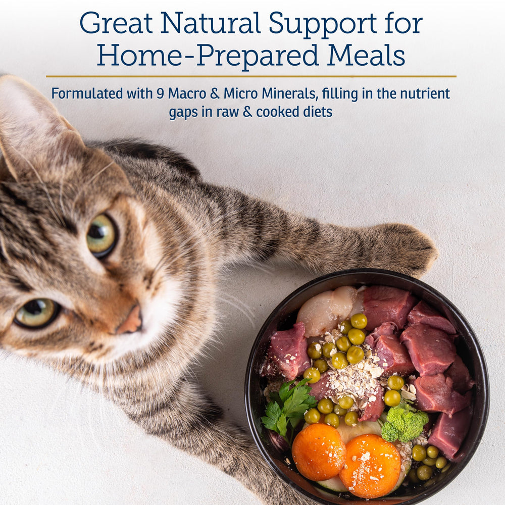 Rx Vitamins Feline Minerals cat eating bowl shows topper mixed into meals for daily balance