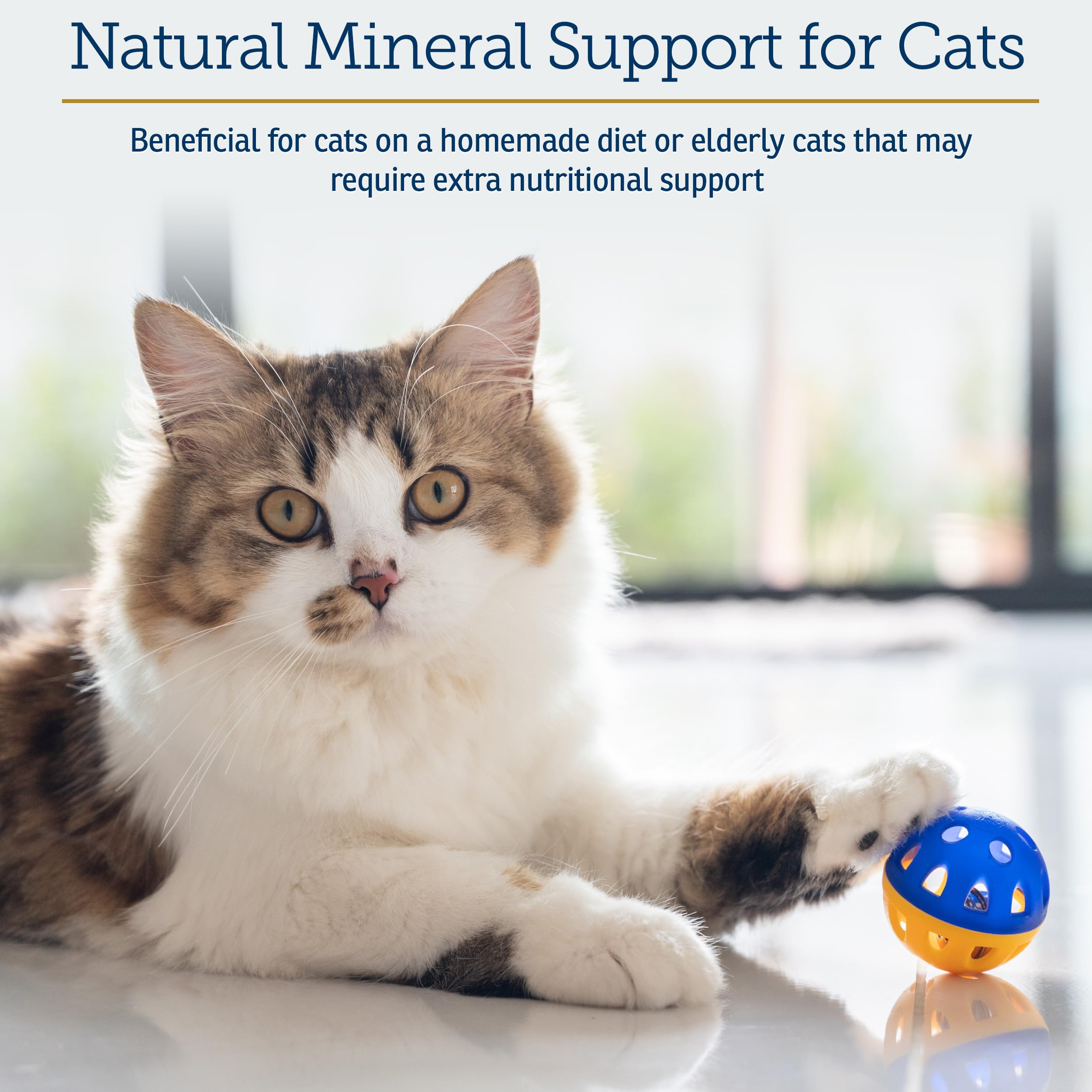 Rx Vitamins Feline Minerals packaging label highlights minerals for immune and bone health