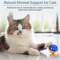 Rx Vitamins Feline Minerals packaging label highlights minerals for immune and bone health