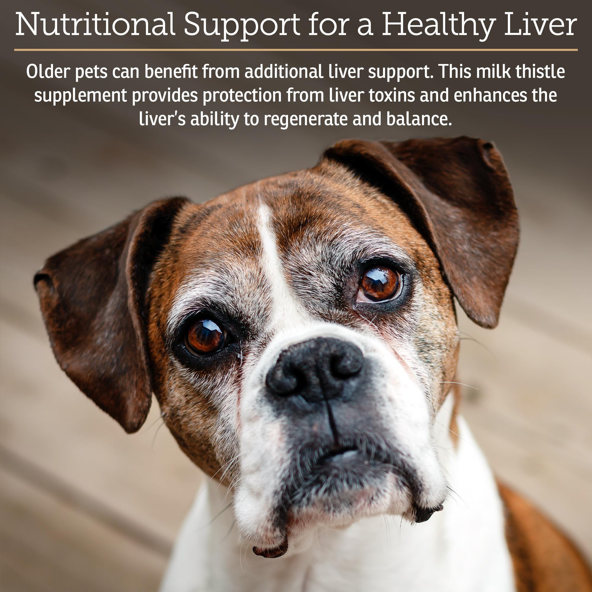 Rx Vitamins Hepato Support capsules close-up highlighting convenient dosing