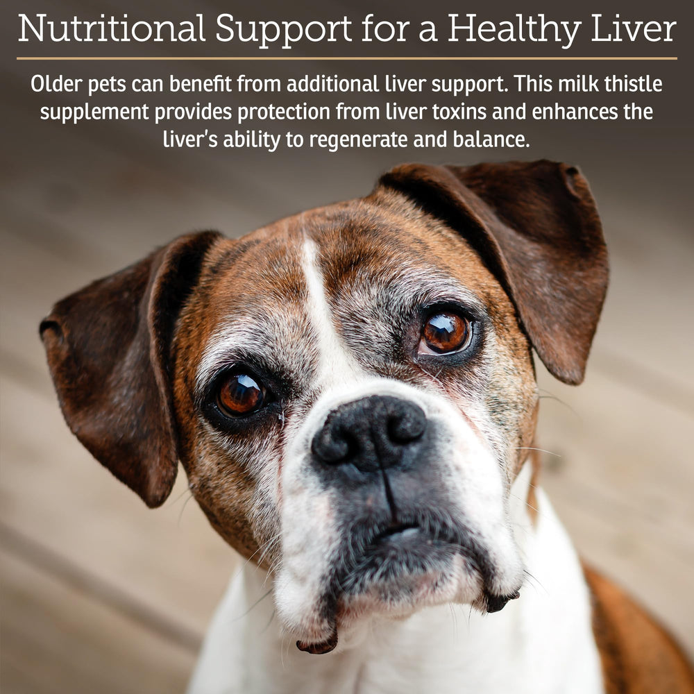 Rx Vitamins Hepato Support being administered in daily routine for canine and feline liver care.