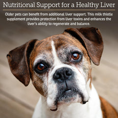 Rx Vitamins Hepato Support being administered in daily routine for canine and feline liver care.