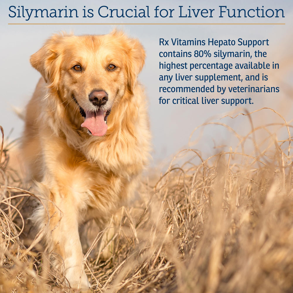 Rx Vitamins Hepato Support capsules offer easy administration for busy pet owners.