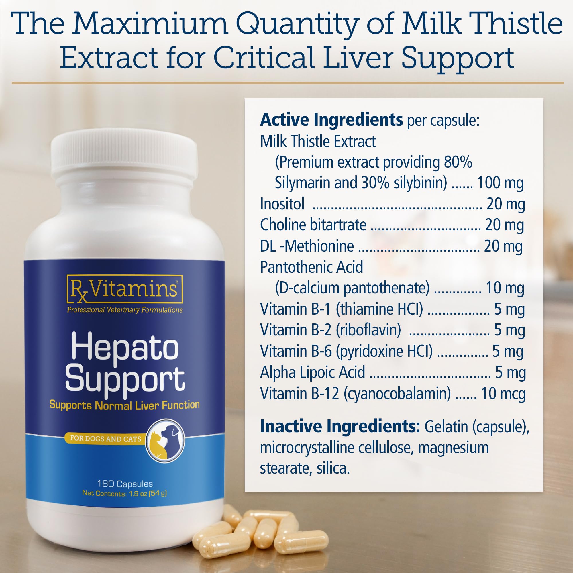 Rx Vitamins Hepato Support included with a pet’s wellness routine for vitality.