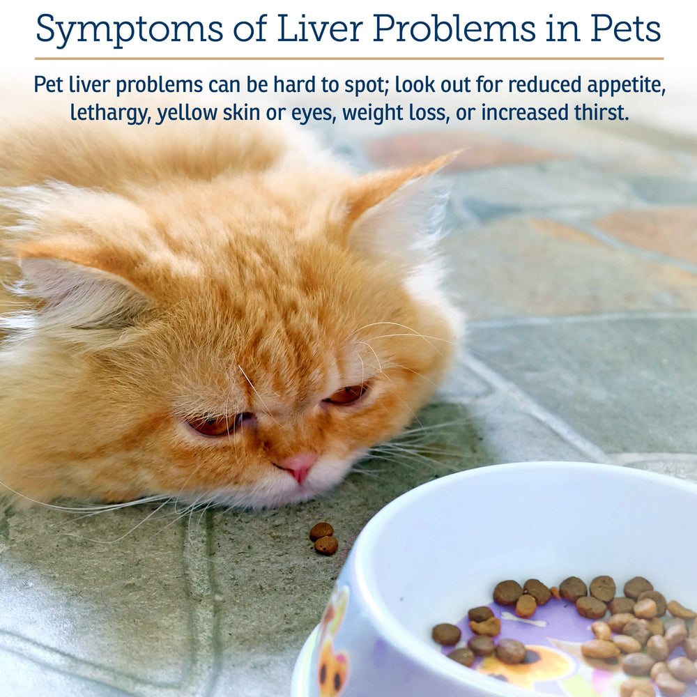 Rx Vitamins milk thistle ingredient for herbal liver support