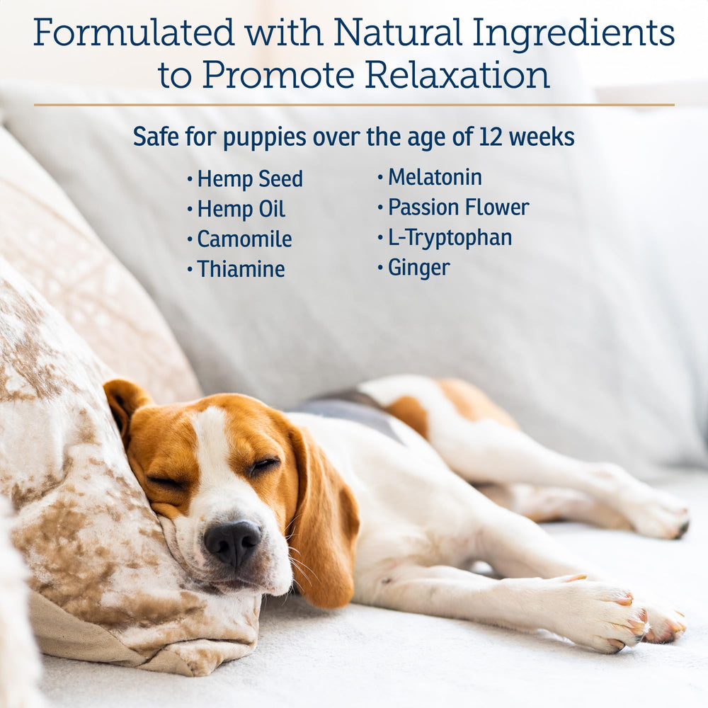 Rx Vitamins NutriCalm valerian root capsules shown for natural relaxation.